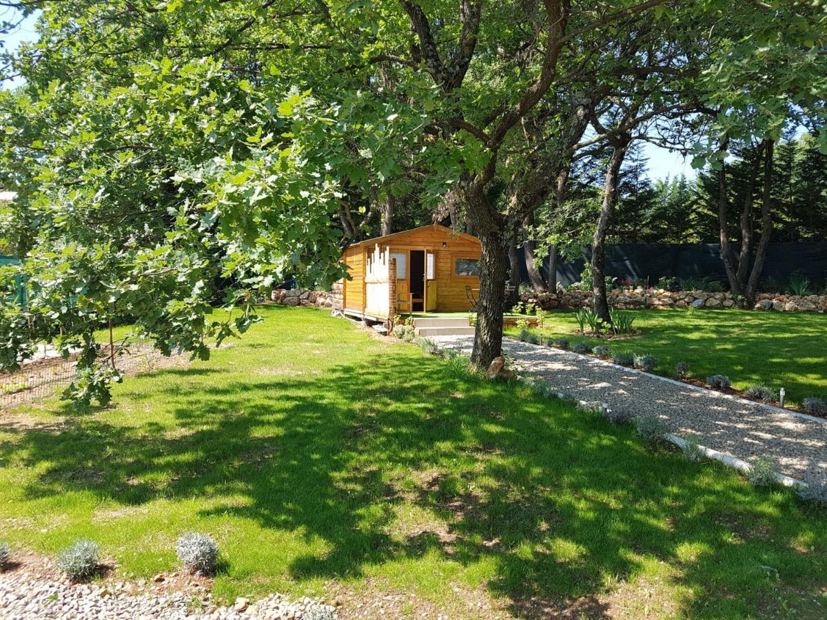 Les Lézards au Soleil Bed and Breakfast Draguignan Eksteriør billede
