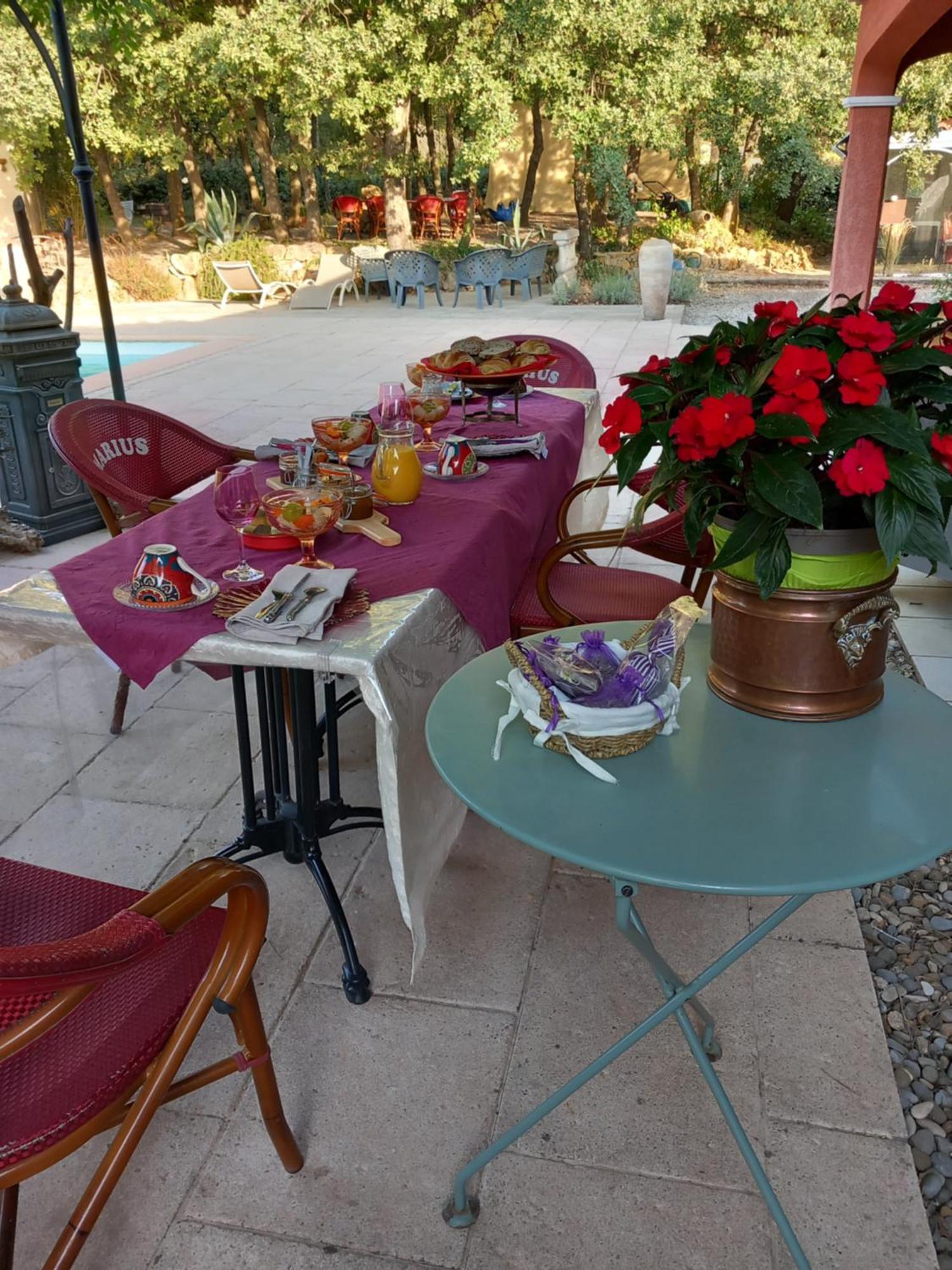 Les Lézards au Soleil Bed and Breakfast Draguignan Eksteriør billede